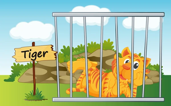Tiger i bur — Stock vektor