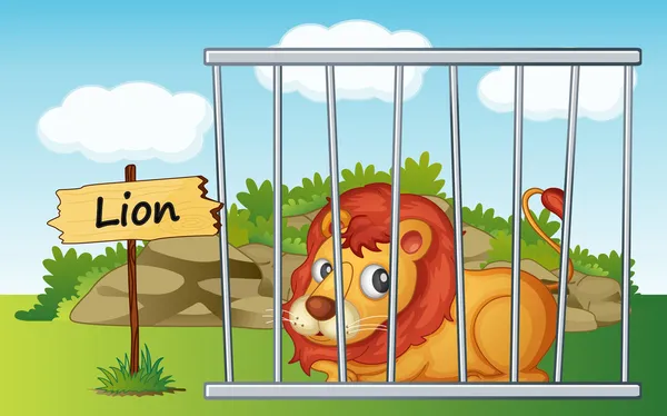 关在笼子里的狮子 — 图库矢量图片