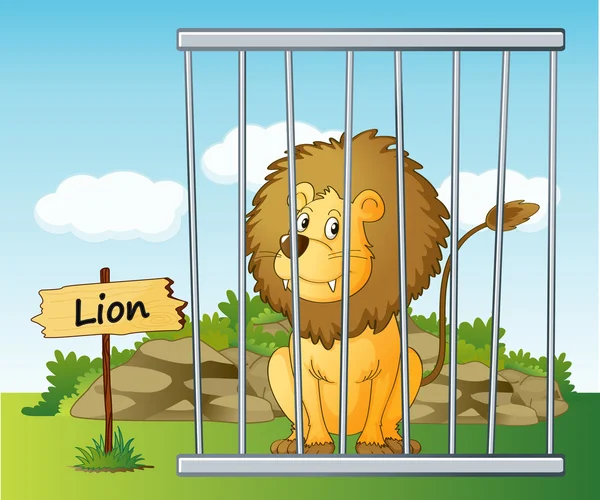 Lion in cage — Stock Vector