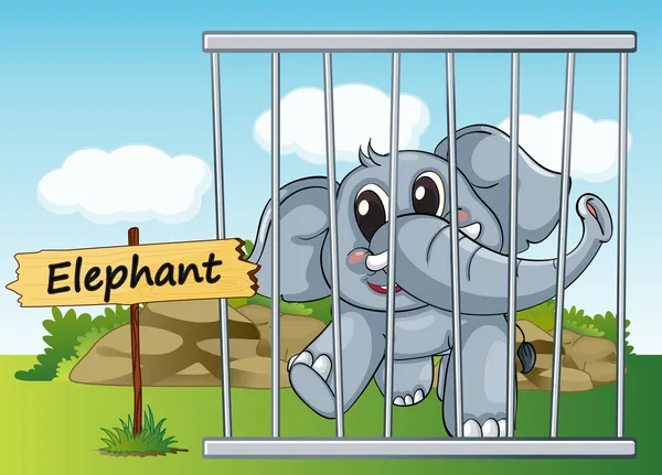 Elefante na gaiola — Vetor de Stock