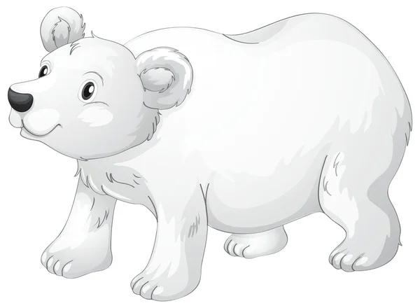 Lední medvěd — Stockový vektor