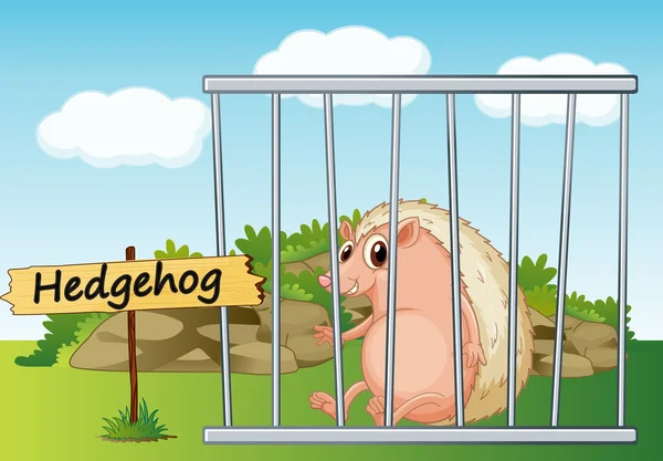 Hedgehog in cage — Stock Vector