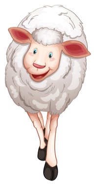 sheep clipart