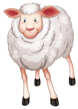 sheep clipart