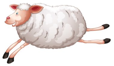 sheep clipart