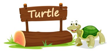 turtle and name plate clipart