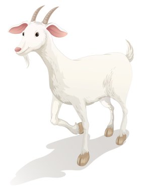 goat clipart