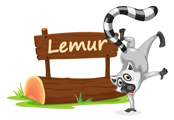 Lémur y placa de nombre — Archivo Imágenes Vectoriales