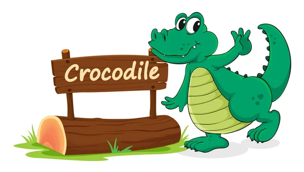 Krokodil en naam plaat — Stockvector