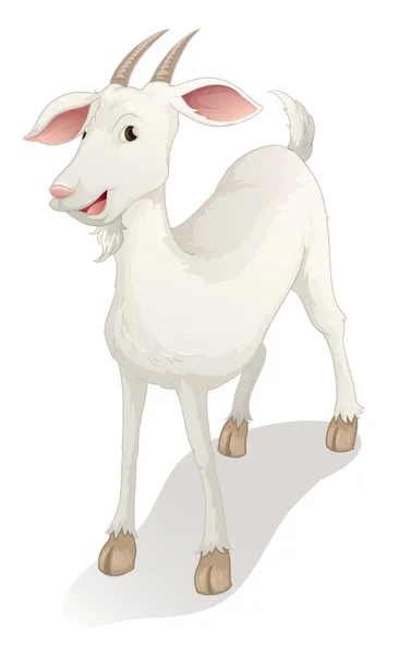 Chèvre — Image vectorielle