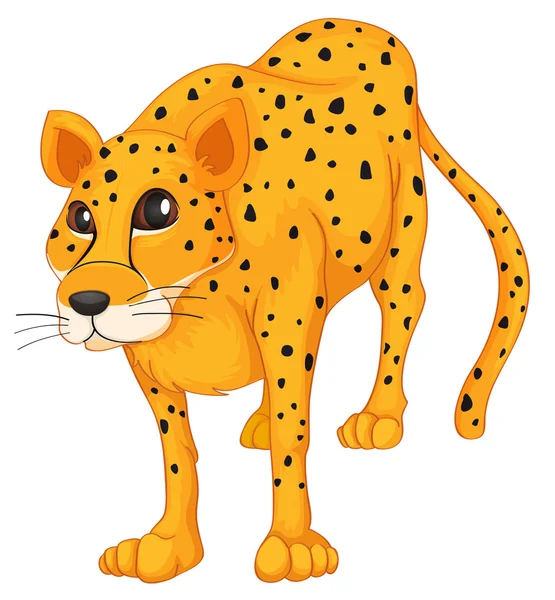 Leopardo — Vetor de Stock