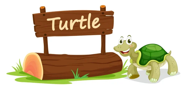 Turtle and name plate Stock Vector