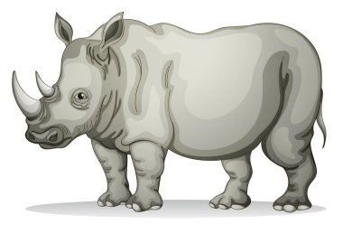 Rhinoceros clipart