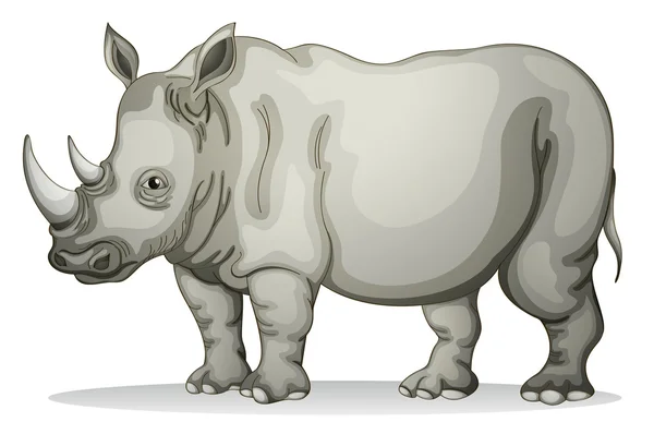 Rinoceronte — Vetor de Stock