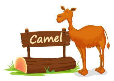 camel and name plate clipart