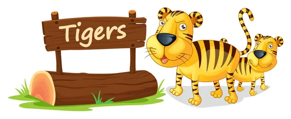 Tygr a jméno deska — Stockový vektor