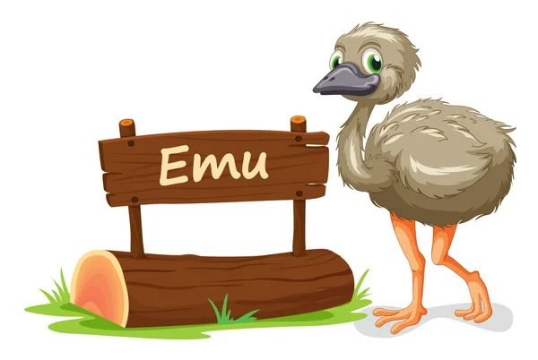 Emu e targhetta — Vettoriale Stock