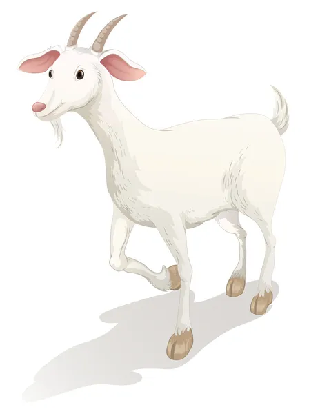 Chèvre — Image vectorielle