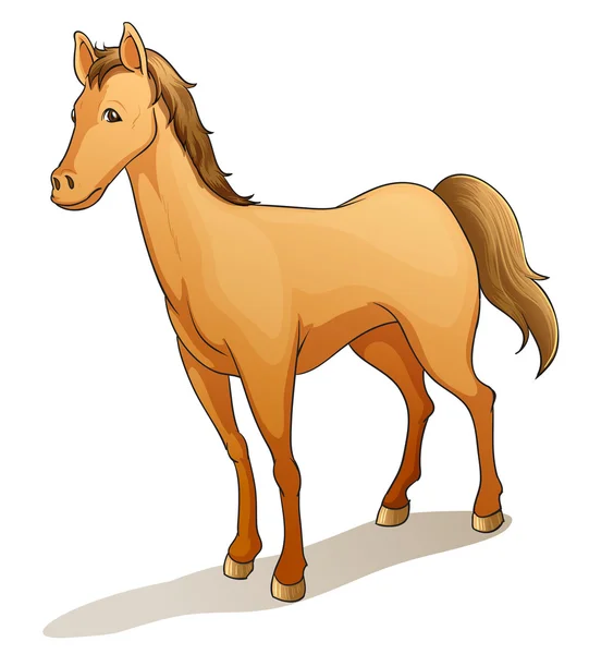 Кінь — стоковий вектор