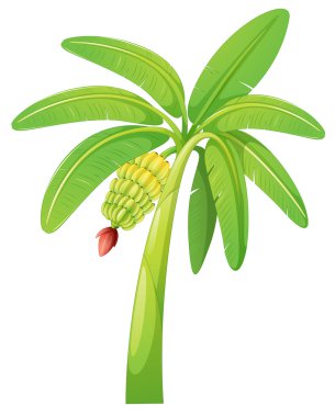 banana tree clipart