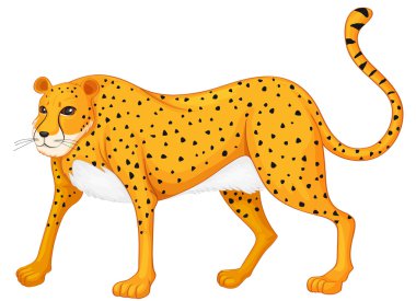 leopar