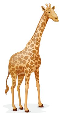 giraffe clipart