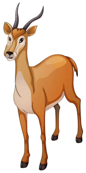 Antilope – stockvektor