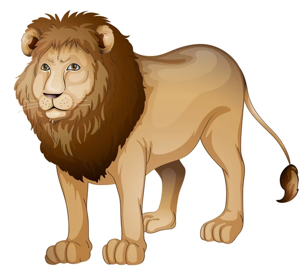 Lev — Stockový vektor