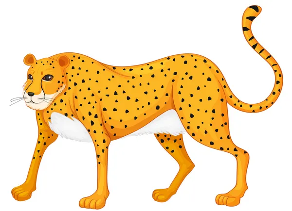 Leopard — Stockvektor