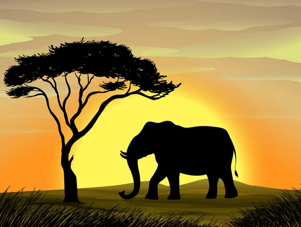 Elefante bajo un árbol — Vector de stock