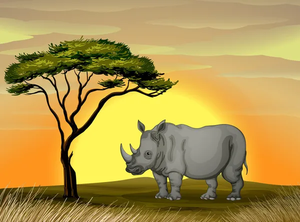 Nashorn unter einem Baum — Stockvektor