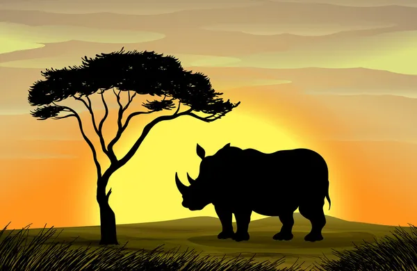 Rinoceronte bajo un árbol — Archivo Imágenes Vectoriales