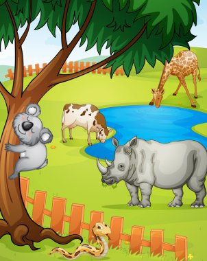 various animals clipart