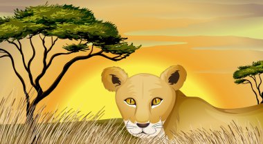 a tiger in nature clipart