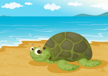 tortoise on sea shore clipart