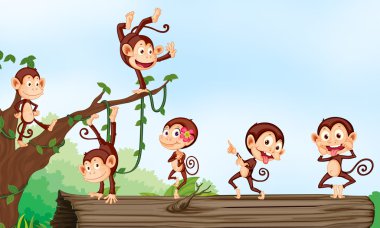 a group of monkeys clipart