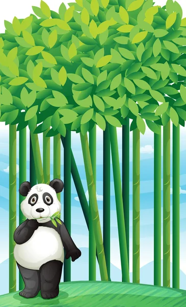 Panda. — Vector de stock