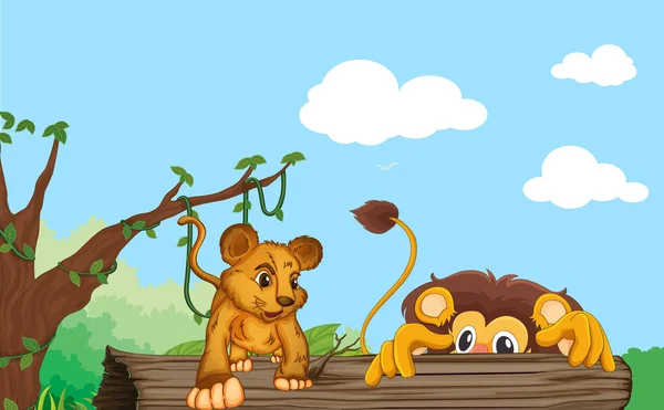Cub och lejon — Stock vektor