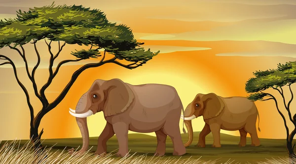 Elefante debaixo de uma árvore — Vetor de Stock
