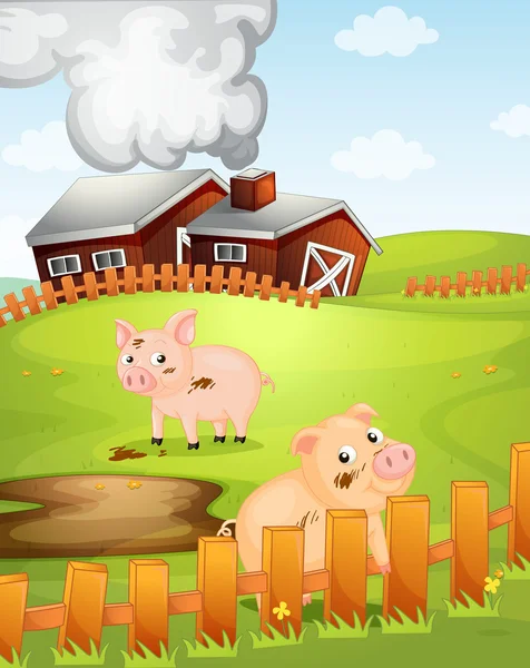 Pigs — Stock Vector