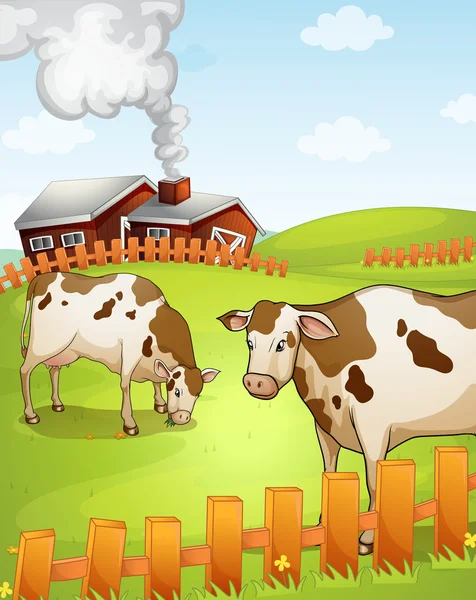 Krowy — Wektor stockowy