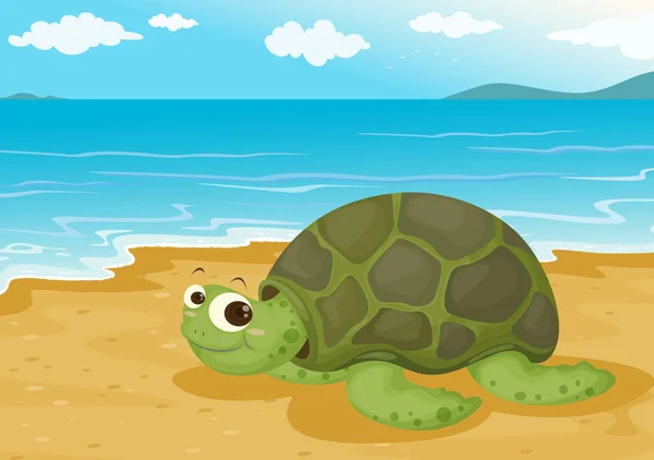 Tortoise on sea shore — Stock Vector