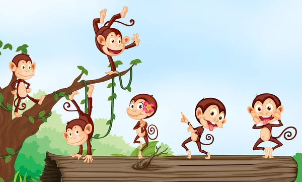 Egy csoport majmok — Stock Vector