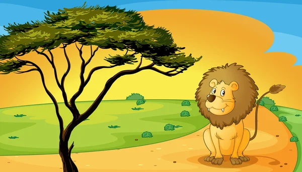 Un león sentado en raod — Vector de stock