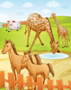 various animals clipart