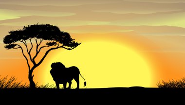 a lion under tree clipart