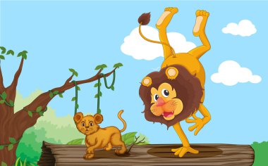 bir aslan ve yavrusu