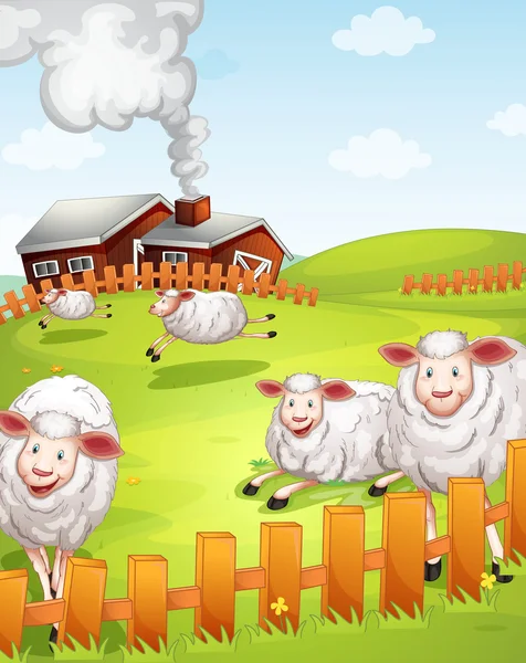 Sheeps in the farm — Stock Vector