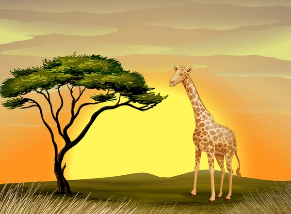 Uma girafa debaixo da árvore — Vetor de Stock