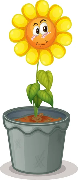 Blomma i potten — Stock vektor